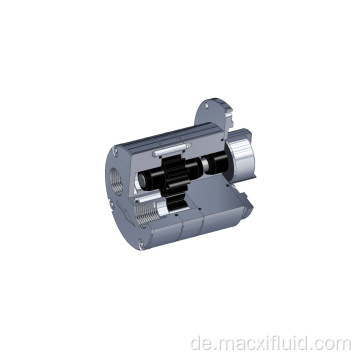 Edelstahl -Antikorrosion Mikrodosisgetriebepumpe